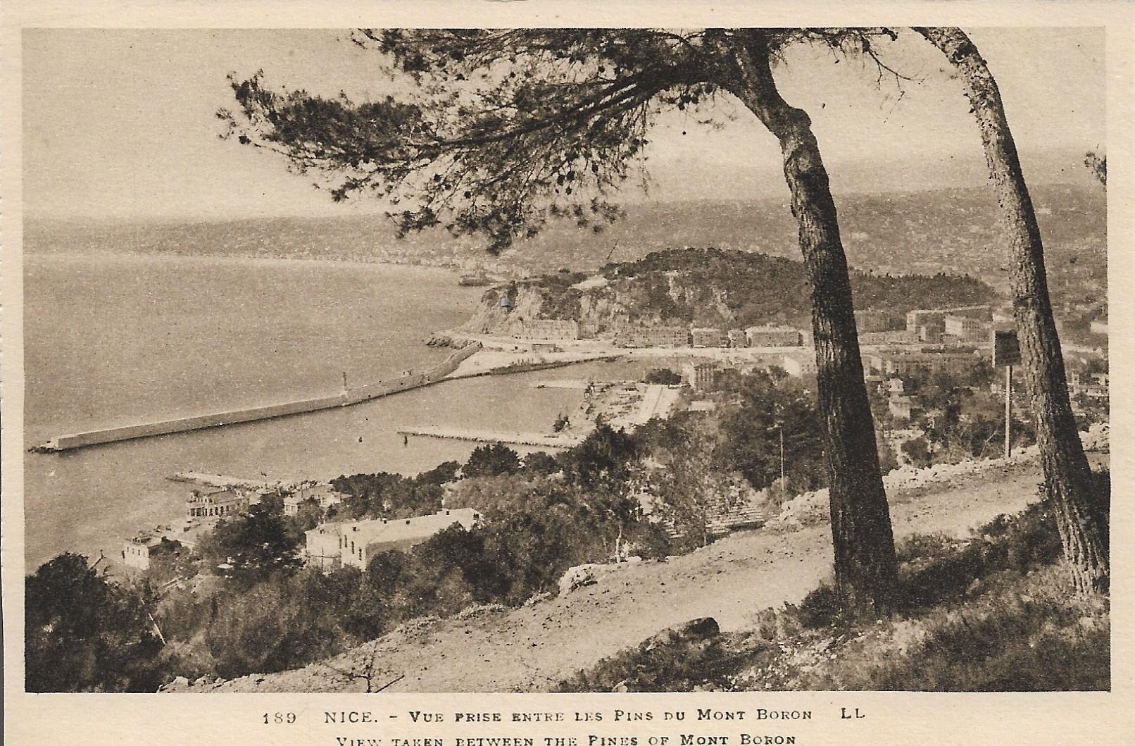 /France/FR_place_1903-1938_NICE. - VUE PRISE ENTRE LES PINS DU MONT BORON.jpg